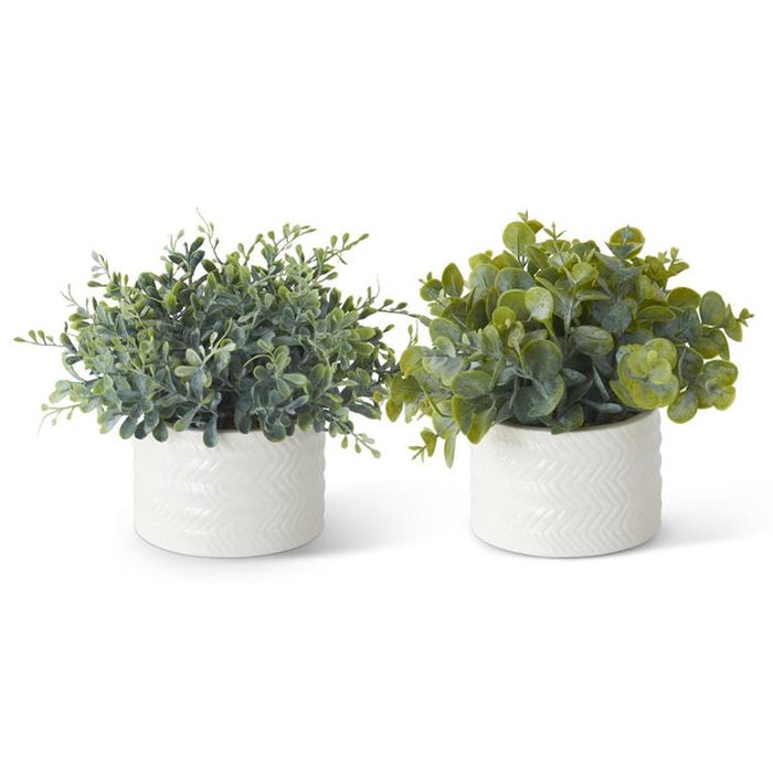 Eucalyptus in Ribbed White Ceramic Vase - 2 Styles