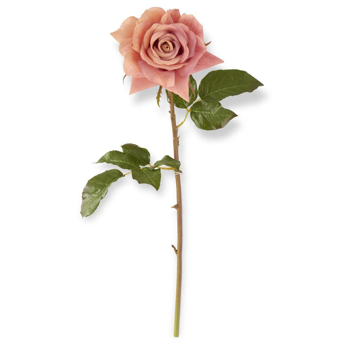 Coral Real Touch Duchess Rose Stem - 25"