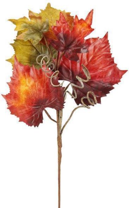 Grape Maple Leaf Curl Pick