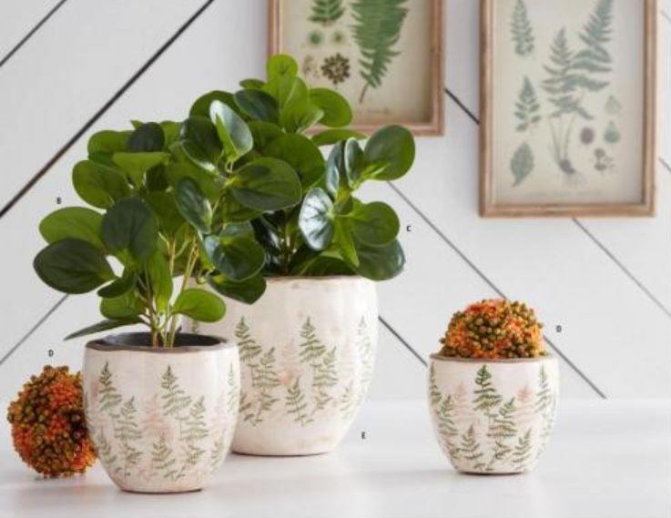 Cream Crackle Pots with Fern Stem Decal