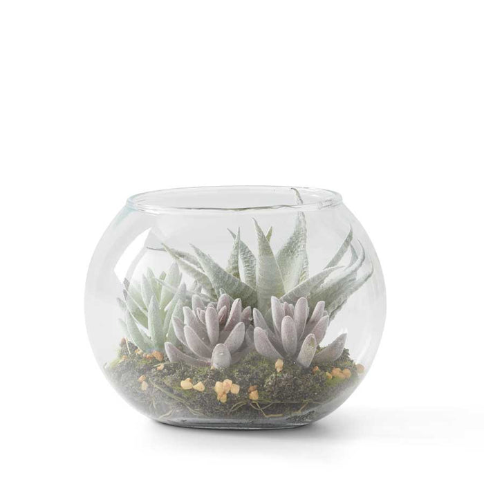 Round Glass Succulent Terrarium Bowl