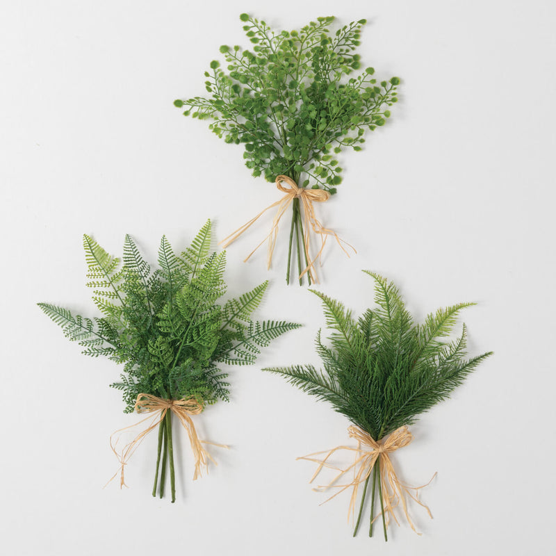 FERN BUSH 3- Options