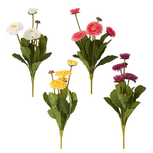 Gerbera Daisy Bush - 4 Colors