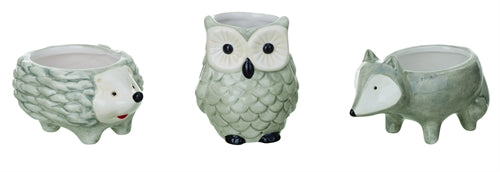 Woodland Creature Succulent Planters - 4 Options