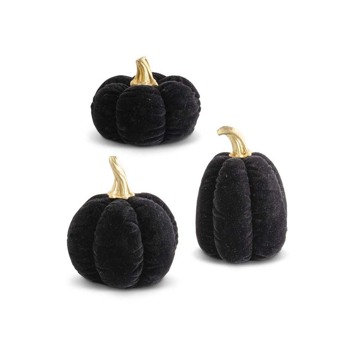 Black Velvet Pumpkins with Gold Stems - Set of 3