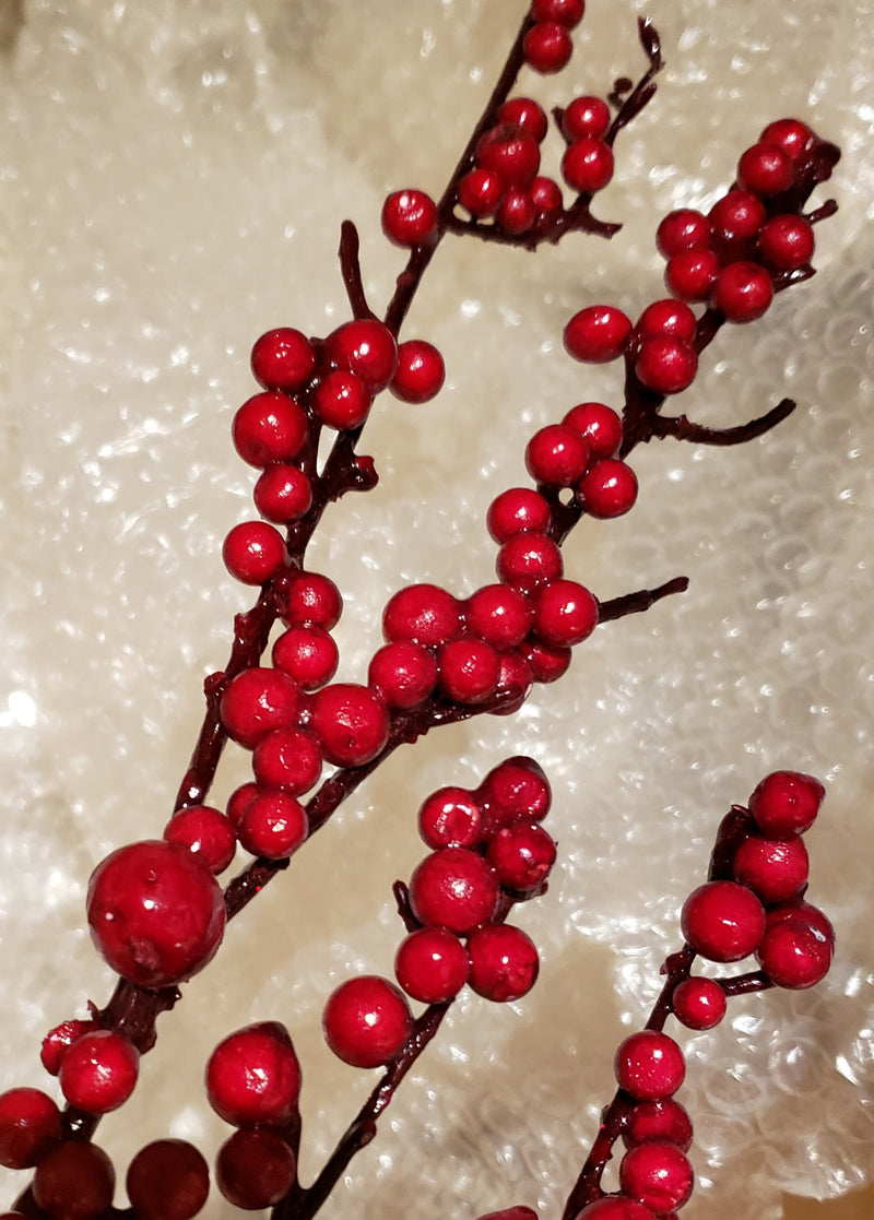 Red Berry Stem