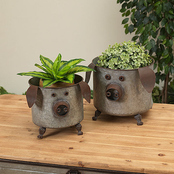 Antique Pig Container/Planters - 3 Options