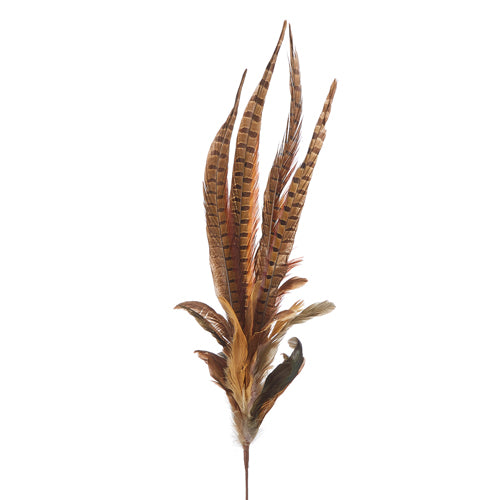 Mixed Feather Spray - 35"