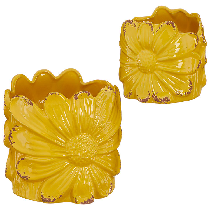 Daisy Pots- 3 Options