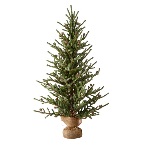 Tree in Burlap Bag - 4'