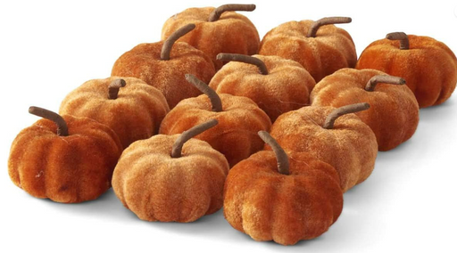 Group of small orange pumpkins on a white background