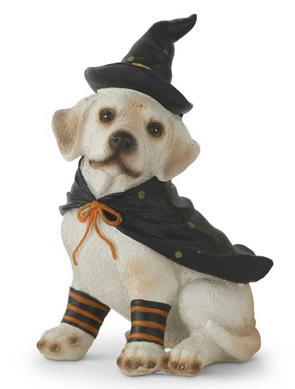 Dog figurine dressed as a witch with a black hat, cape, and striped socks on a white background