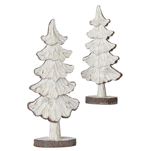 White Washed Distressed Tree - Set of 2