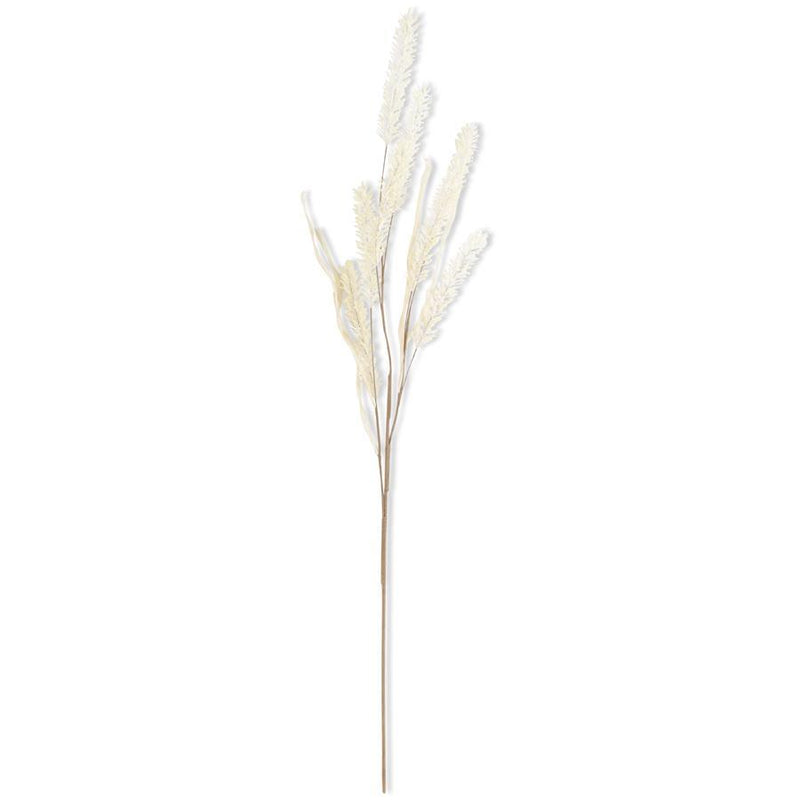 Cream Pampas Grass Spray