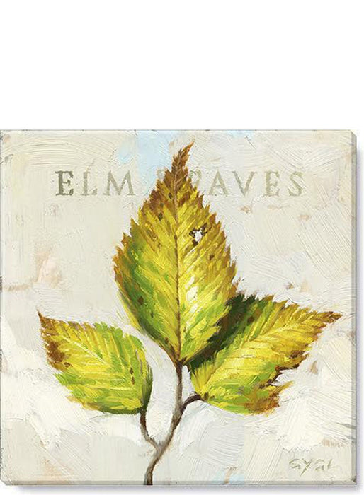 Elm Leaves Wall Art