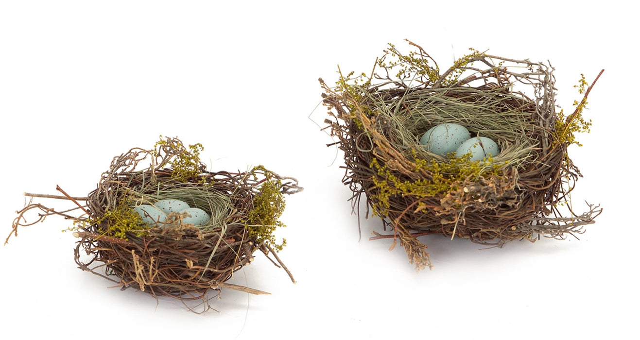 Robin's Nest w/ Eggs
