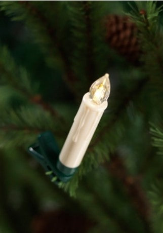 Christmas tree light bulb on a branch with green leaves and pine cones.