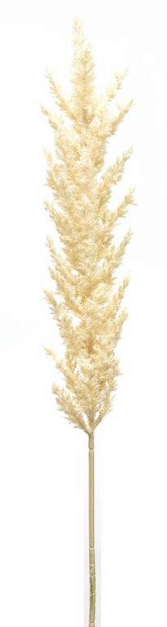 Flocked Cream Astilbe