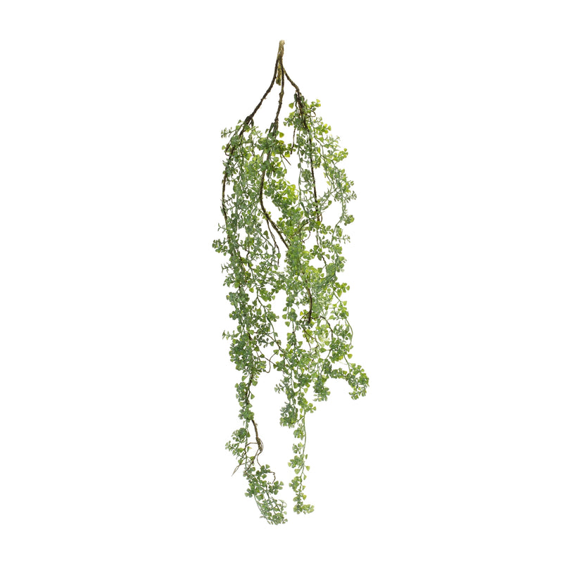Hanging Mini Leaf Vine