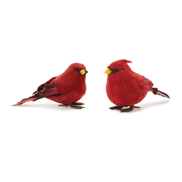 Cardinals - 2 Styles