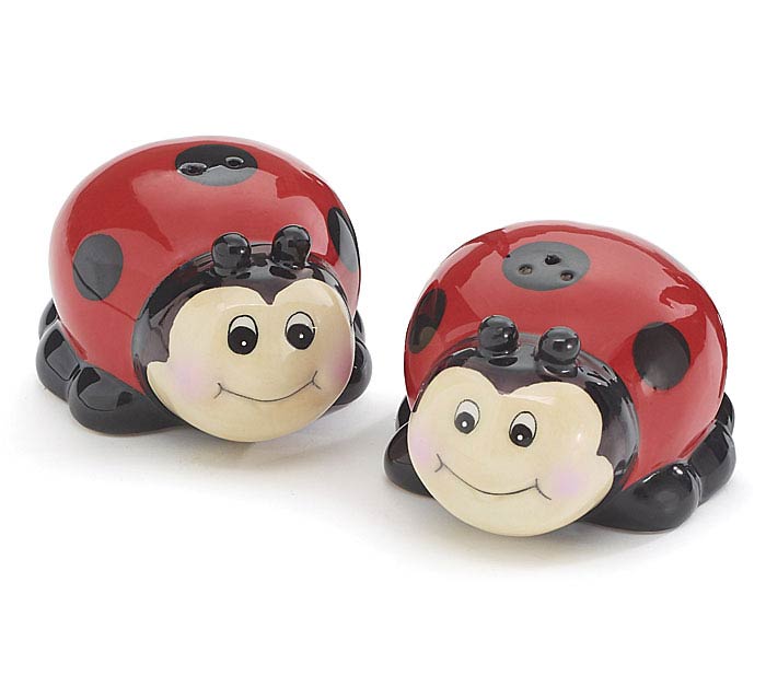 Red Salt and Pepper Lady Bug
