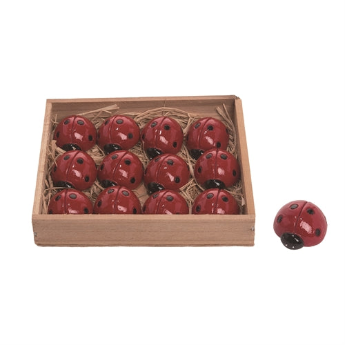 Mini Ladybugs