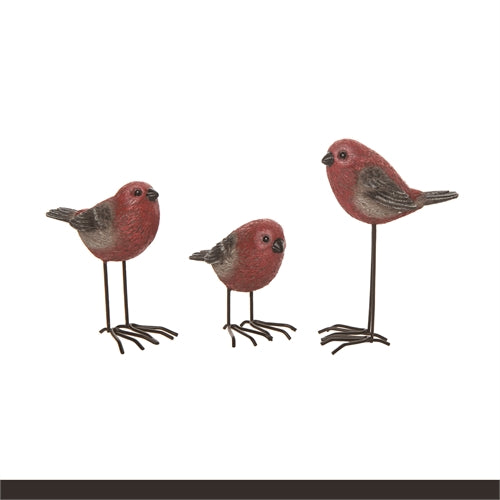 Tall Grosbeak Birds - 3 Options