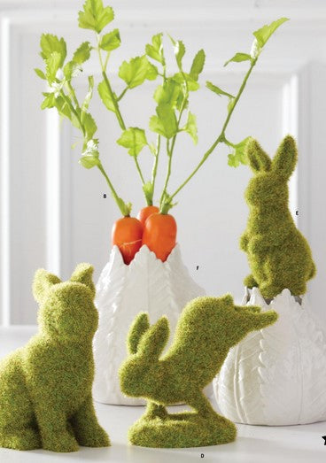 Orange Long Carrot