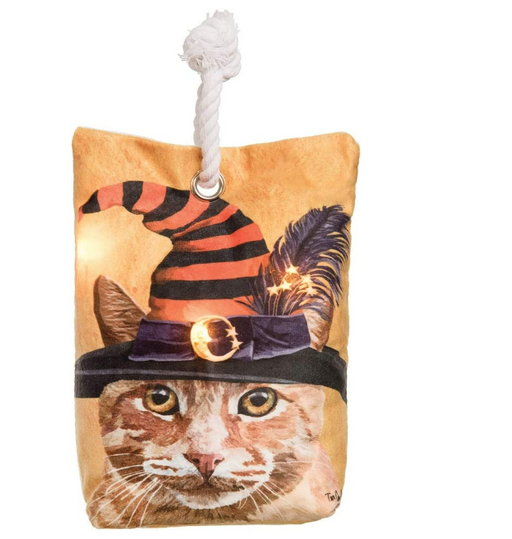Cat-shaped Halloween treat bag with a witch hat design on a white background