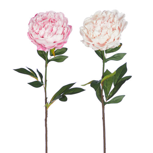 Real Touch Pink Peony Stems - 2 Options