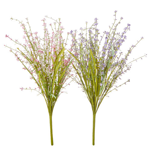 Pink or Purple Wildflower Bushes