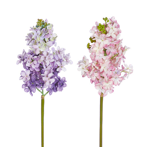 Lilac Stems - 2 Colors