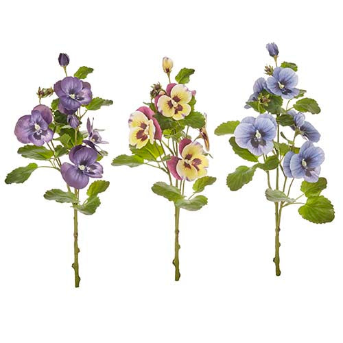Pansy Sprays - 4 Options