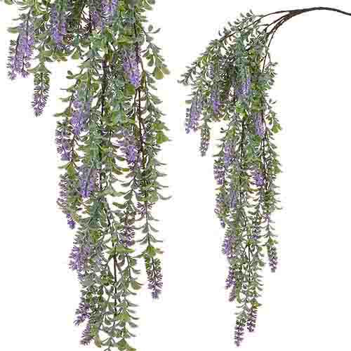Hanging Lavender Vine