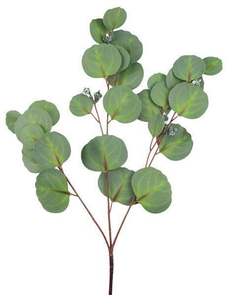 Eucalyptus Berry Spray