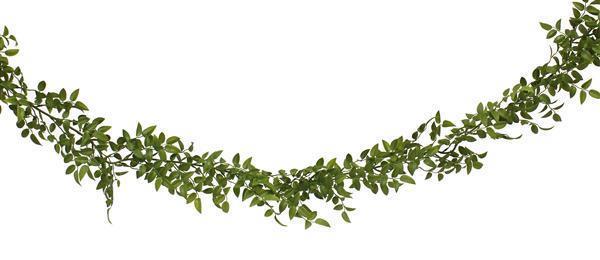 Plastic Leaf Garland - 72"