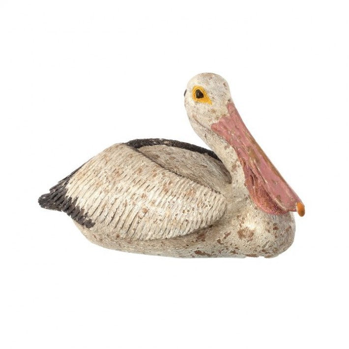 Sitting Pelican