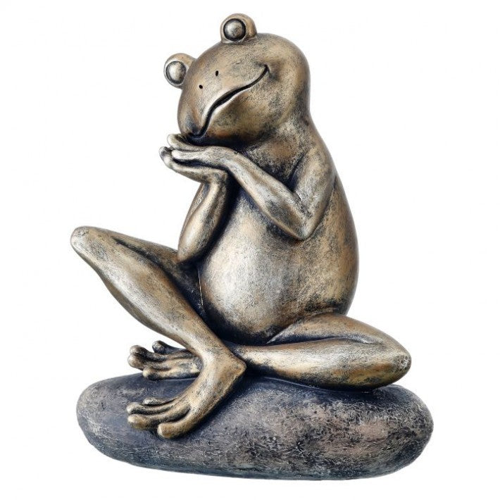 Frog On Stone Dreaming