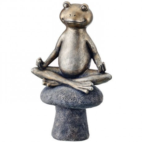 Frog On Mushroom Yoga