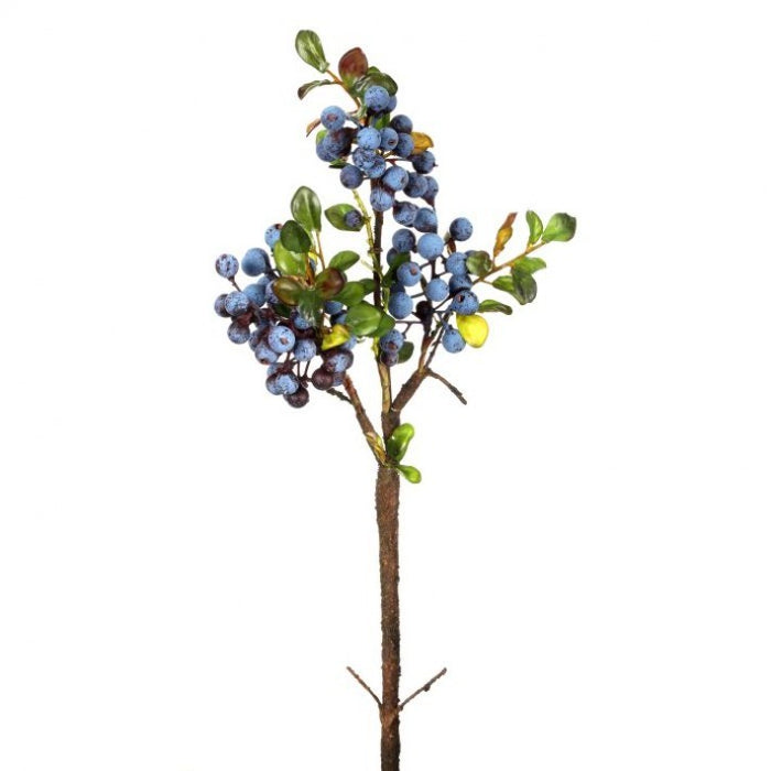 Blueberry Cluster