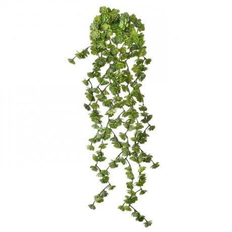 Fresh Touch Fountain Succulent Vine - 4 Colors