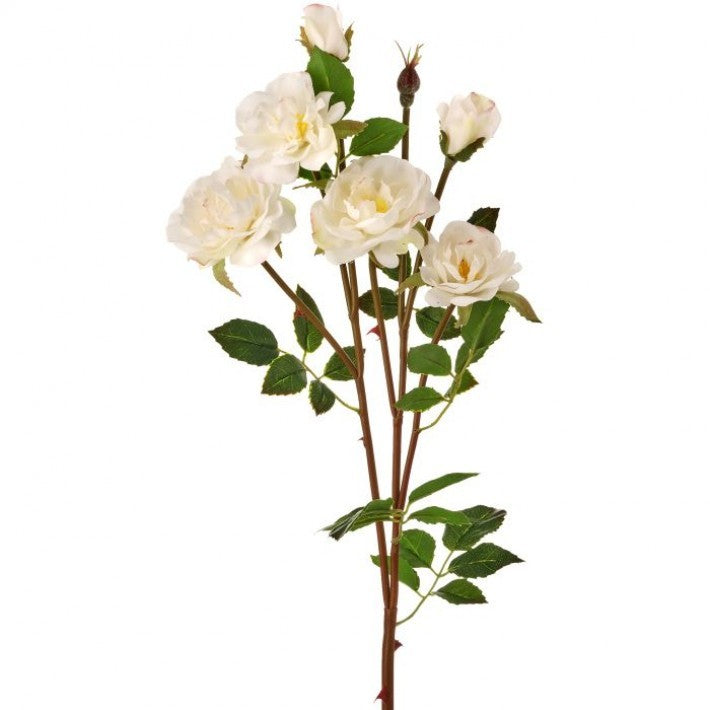 Rambling Rose - 2 Colors