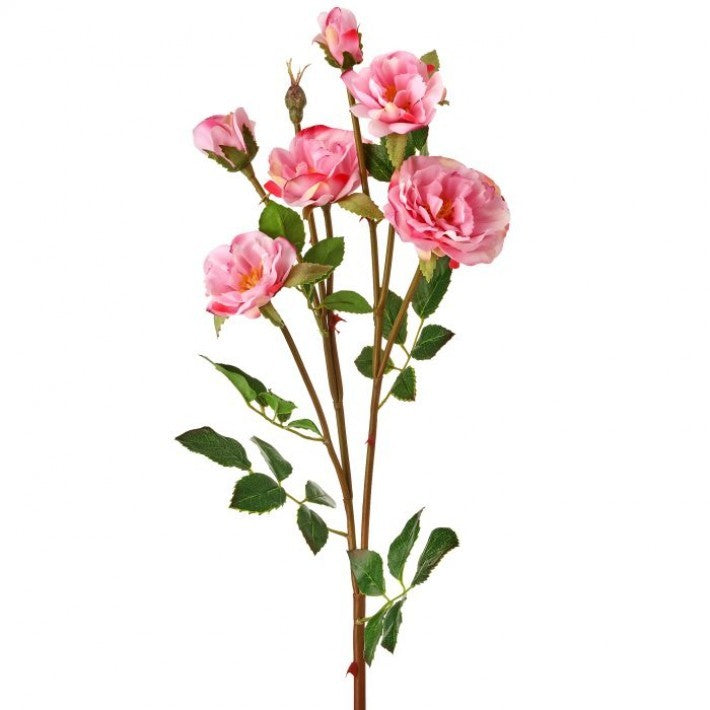 Rambling Rose - 2 Colors