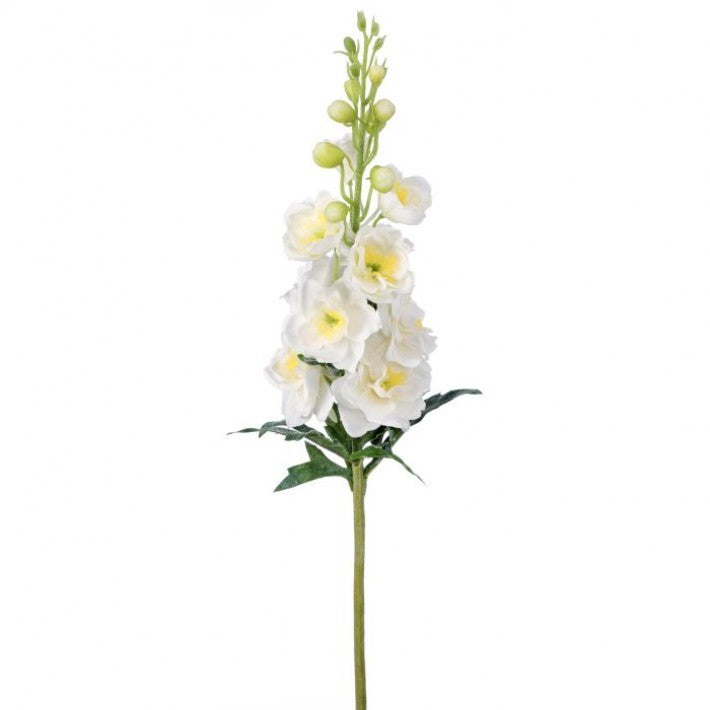 Just Cut Garden Delphinium