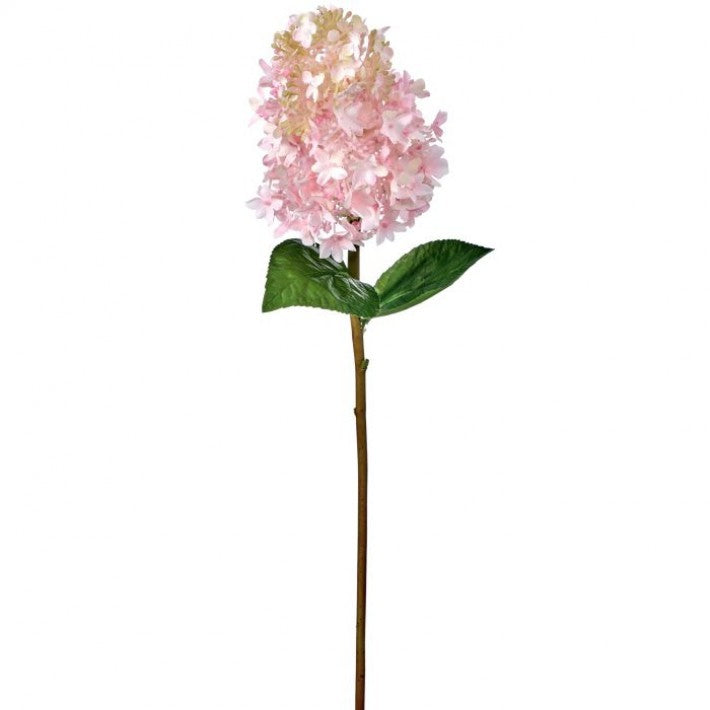 Pinnacle Hydrangea Stem - 2 Colors