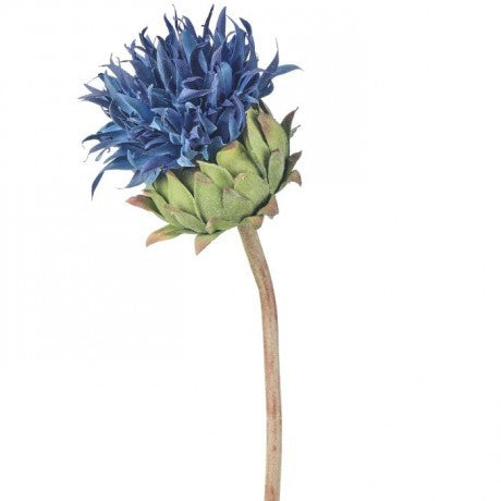 Just Cut Cardoon Thistle - 2 Colors