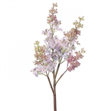 Just Cut Lilac Branch  27"