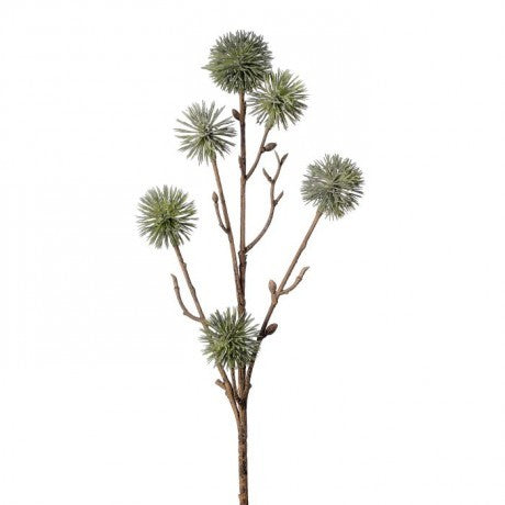 Ball Thistle 18" - 2 Colors