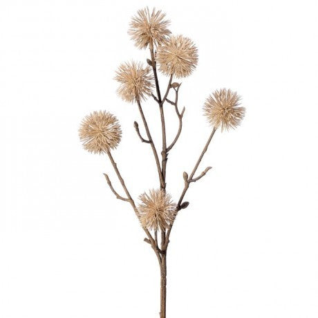 Ball Thistle 18" - 2 Colors