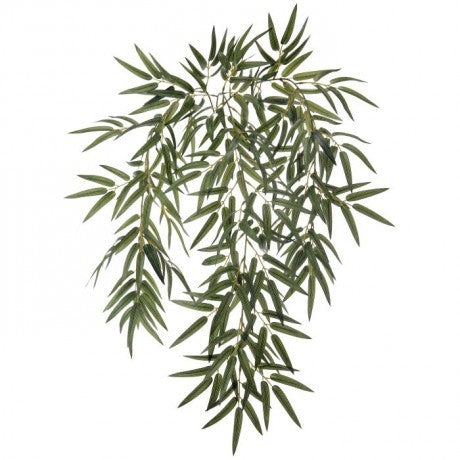 Hanging Bamboo Leaf Plant